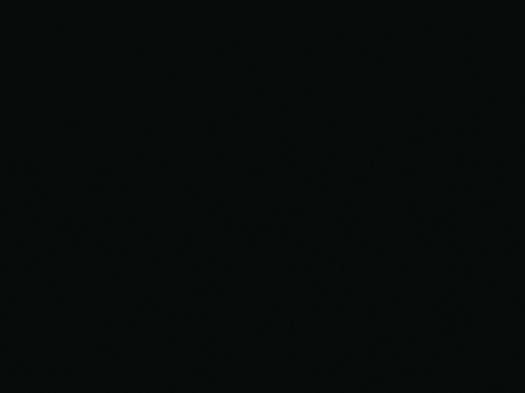 Walletwise logo2